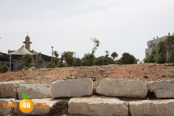 ardjabalyei5258 (2).JPG